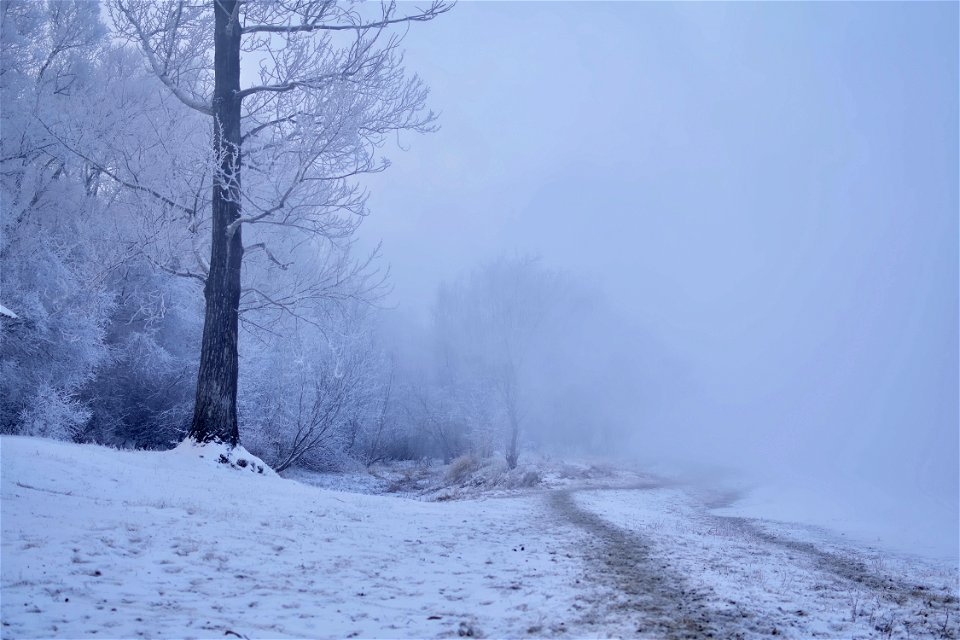 foggy frosty morning on the river bank photo