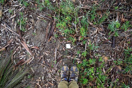 2022 Site 2 Ground photo 8