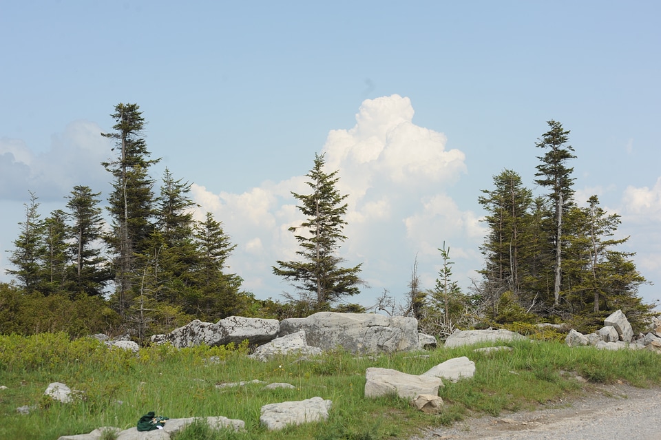 Dolly Sods North: Bear Rocks Trail Loop