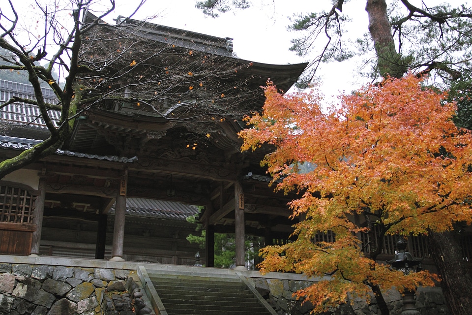 Daihonzan Eiheiji Temple Trip