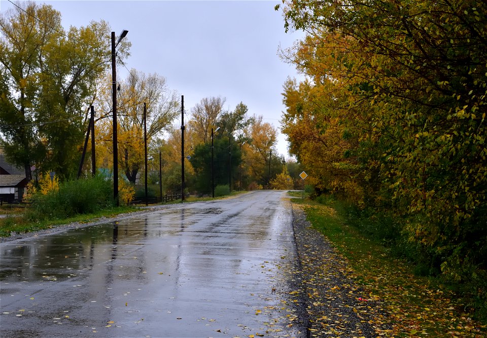 city streets on a rainy autumn day