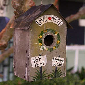 Tree home romantic