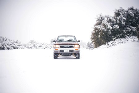 Snow Day
