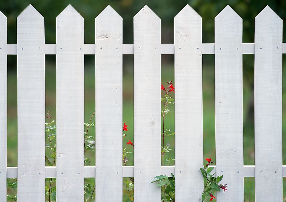 White fences on green grass