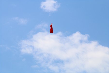 IMG_1969