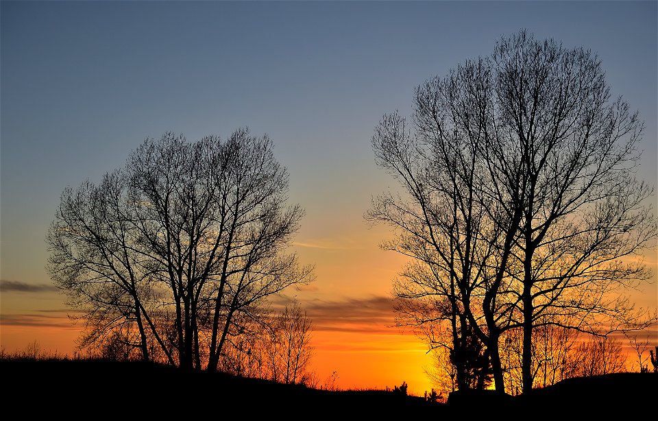 autumn forest at sunset