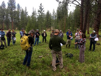 FuelTreatmentFieldTrip-MT-001