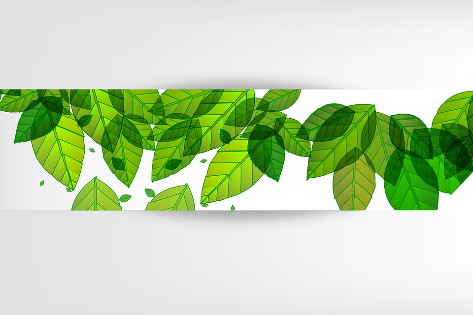 banners with green leaves