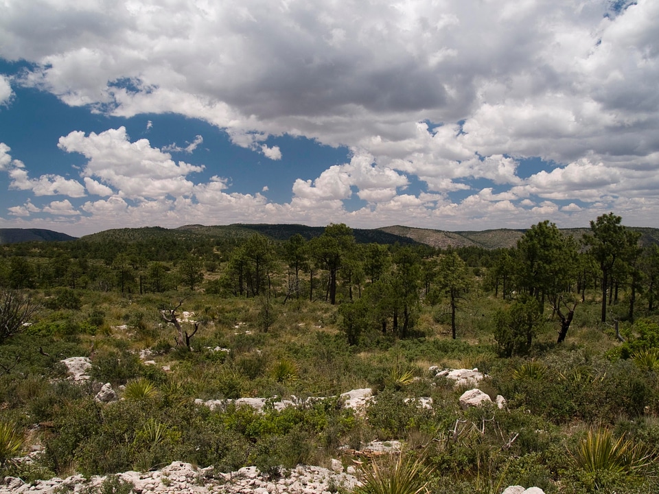 Wilderness Ridge Permian Reef Geology Trail
