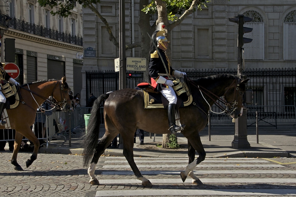 The royal horse guards