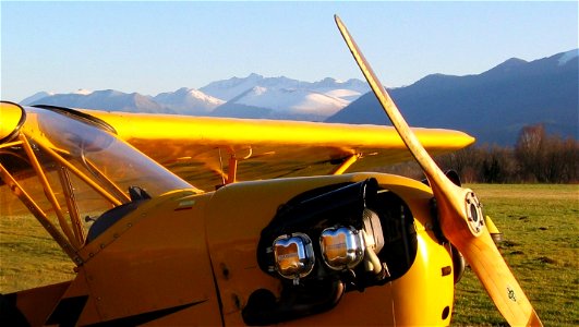 my cub is a plane