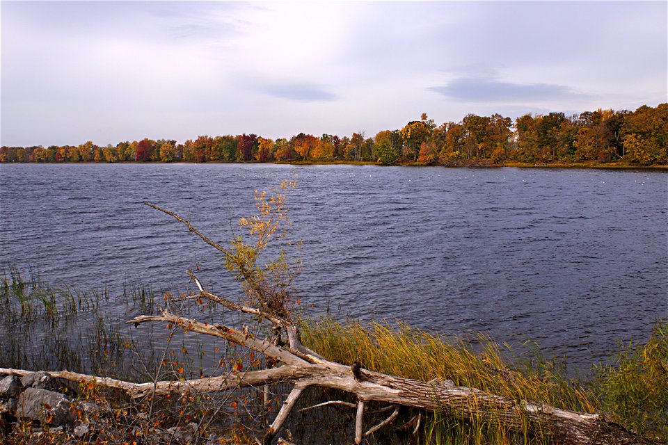 Morning Walk Along The Ottawa River photo