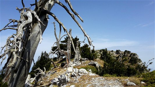 Massiccio del Pollino, Serra di Crispo - giardino degli dei