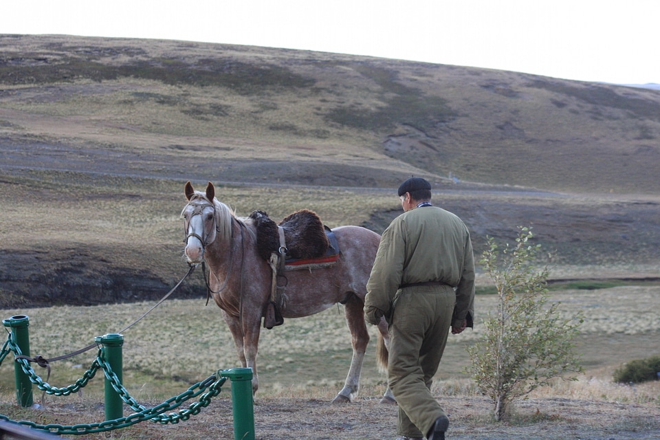 Gaucho Los Glaciares National Park, Patagonia, Argentina