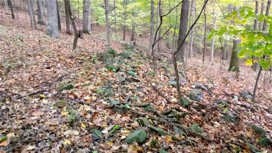 20171025_103454(1)