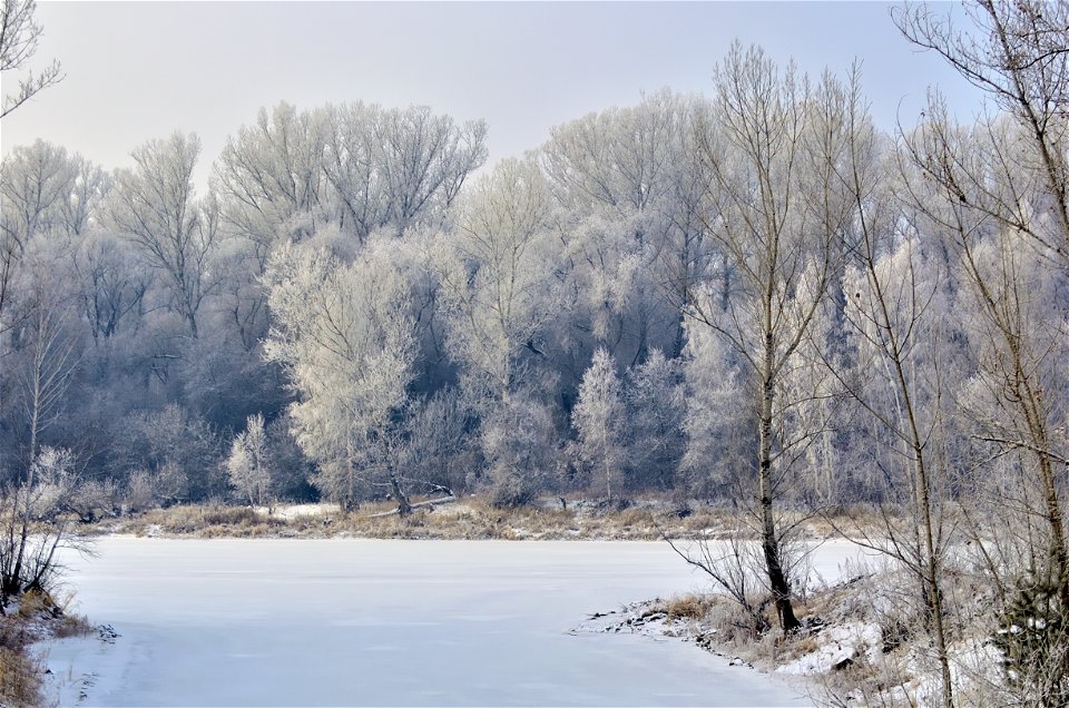 foggy frosty morning on the river bank