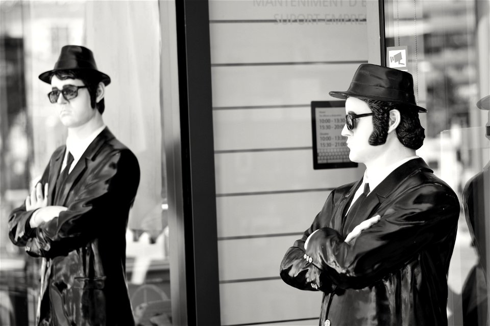 The Blues Brothers