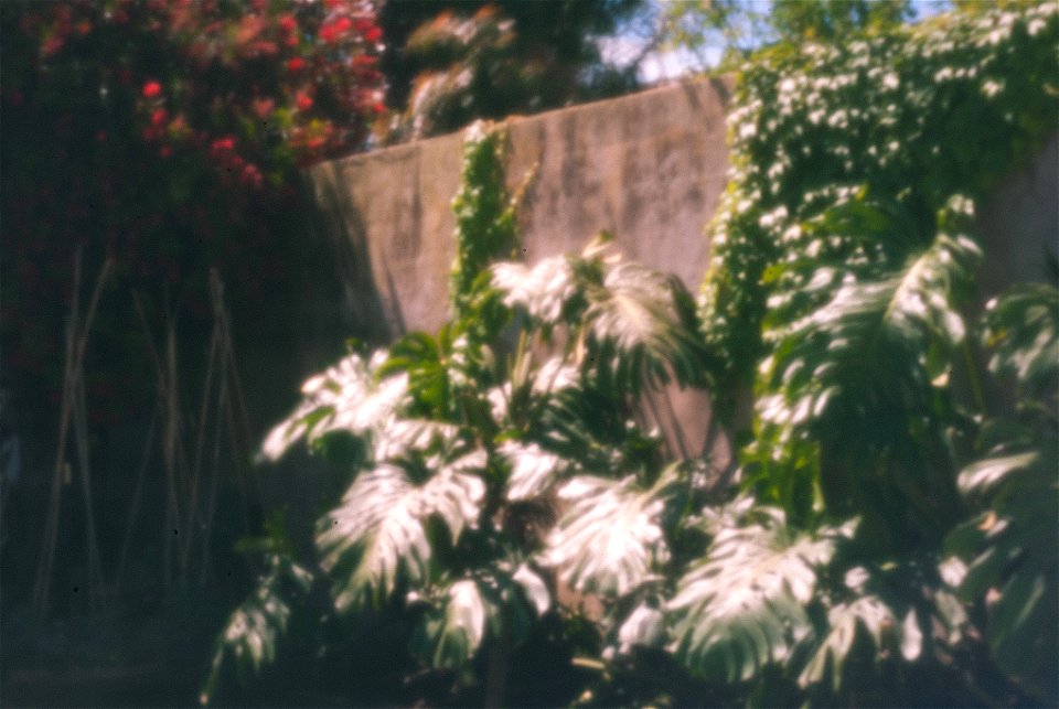 Beer can DIY pinhole cap on DSLR