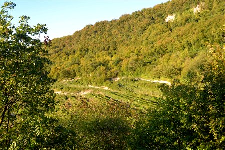 Valpolicella | Lorenzo Fidora