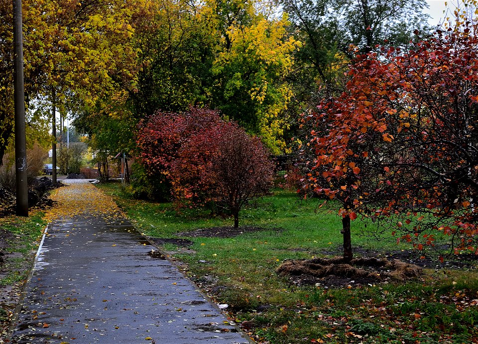 city streets on a rainy autumn day