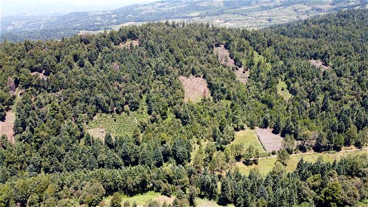 SEIARN_SEIF_DSIA_FERNANDO_VALDEZ_CALDERÓN_DJI_0256