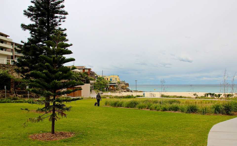 Woman at Bronte Beach photo