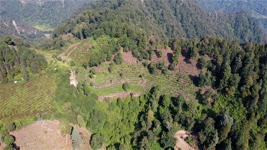 SEIARN_SEIF_DSIA_FERNANDO_VALDEZ_CALDERÓN_DJI_0474