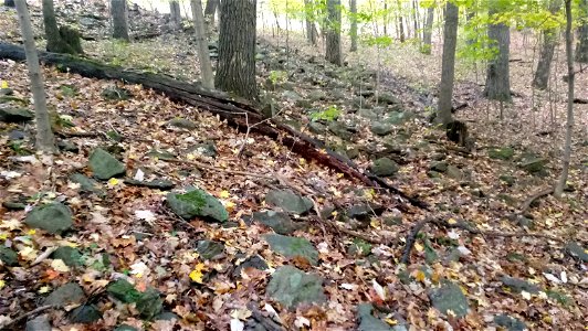 20171025_104113