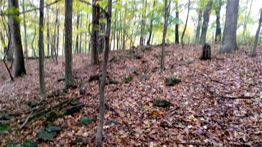 20171025_103202