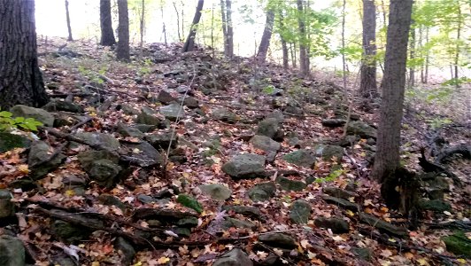20171025_104125