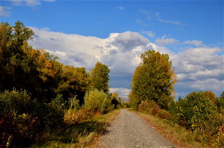a walk along the Yenisei on an autumn day photo