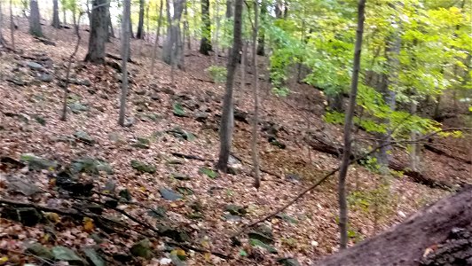20171025_102954