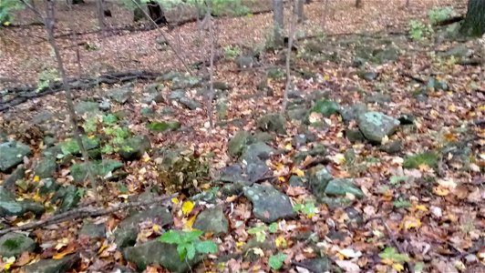 20171025_102659