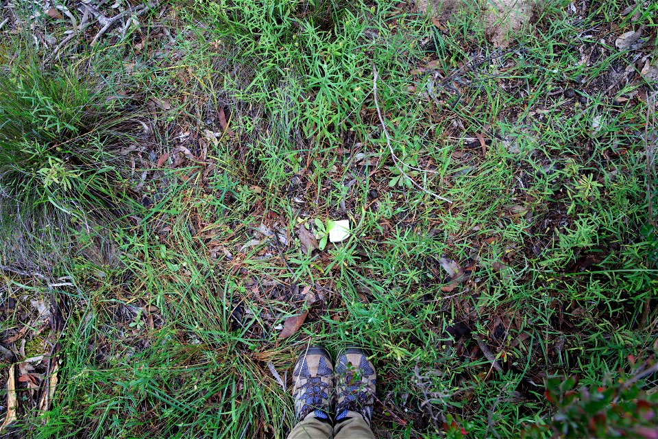 2022 Site 2 Ground photo 4