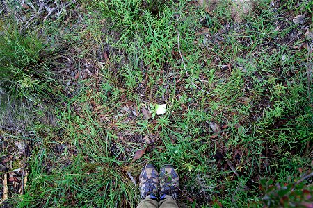 2022 Site 2 Ground photo 4