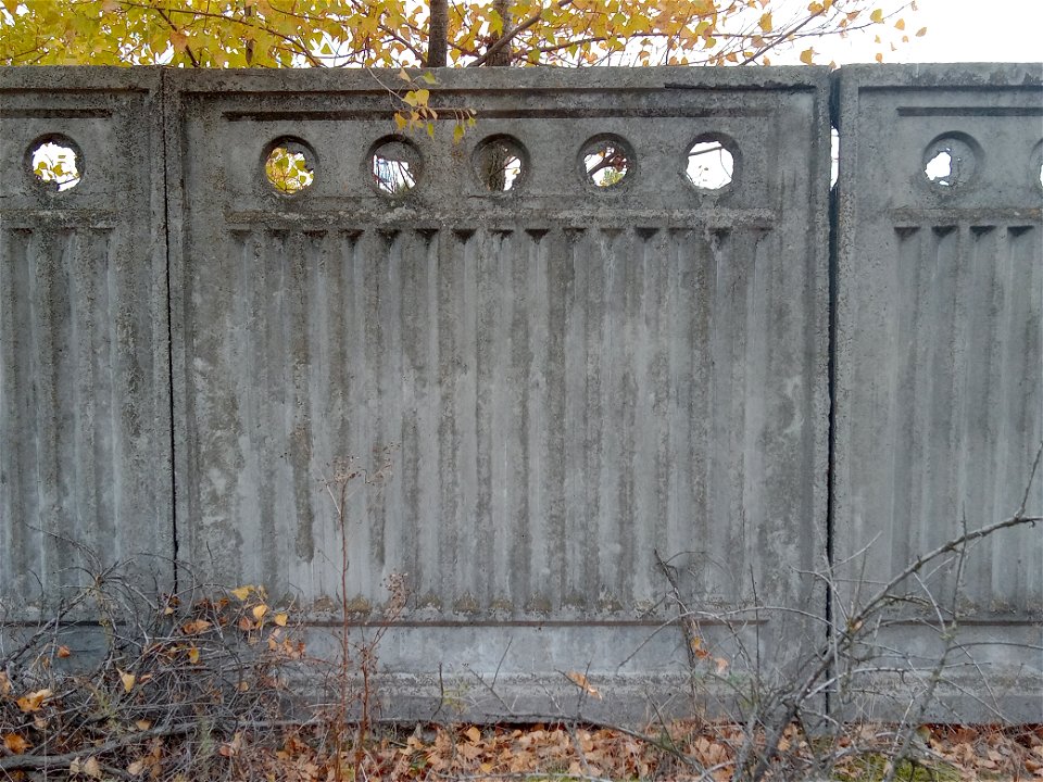 The fence