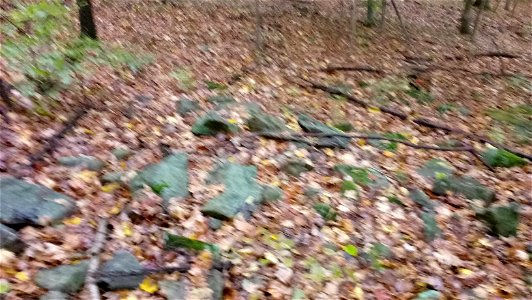 20171025_103210(1)