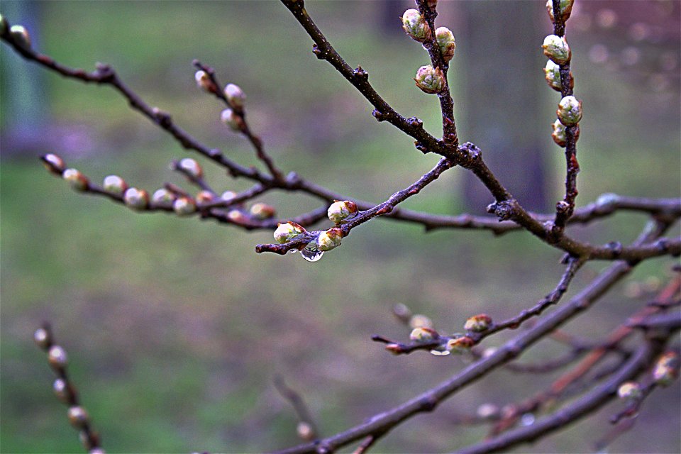 April Showers Bring May Flowers (2)