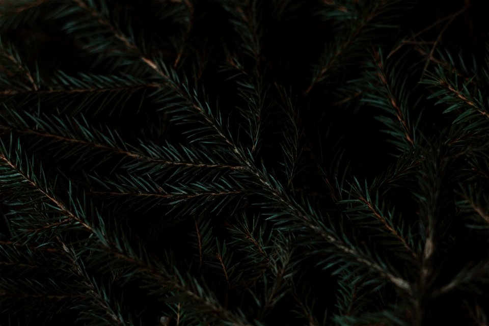 w1
