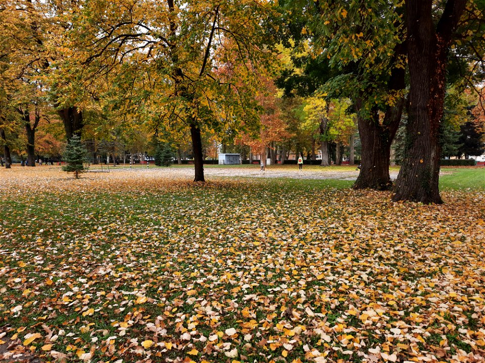 Autumn in Campus of University of Banja Luka, BiH (3)