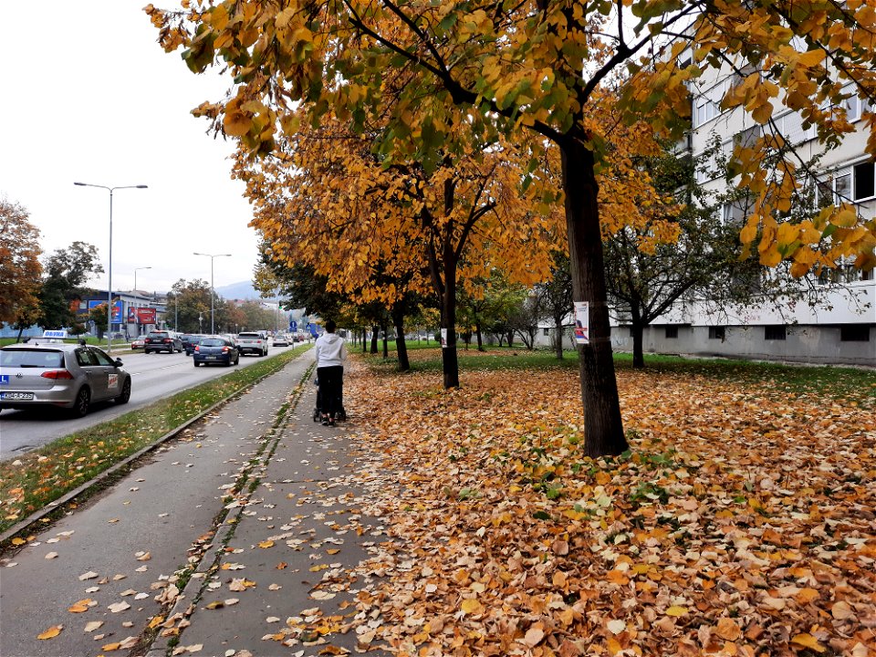 Autumn in Bulevar vojvode Petra Bojovića (2), Borik, Banja Luka, BiH