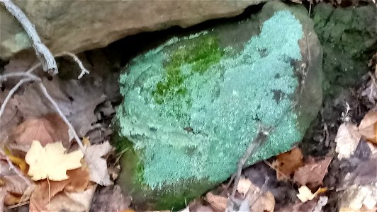 20171025_104503