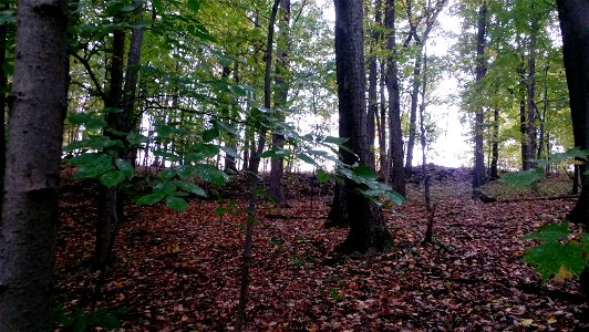 20171025_104811