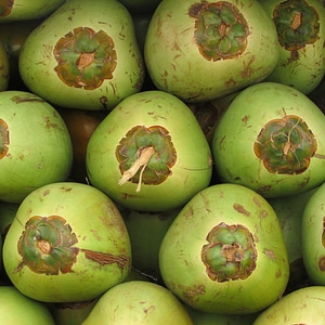 Green seed drupe