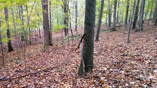 20171025_103055
