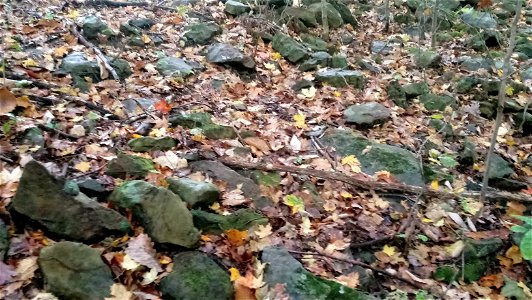 20171025_104155
