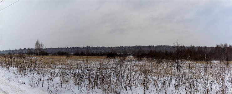 winter pano photo