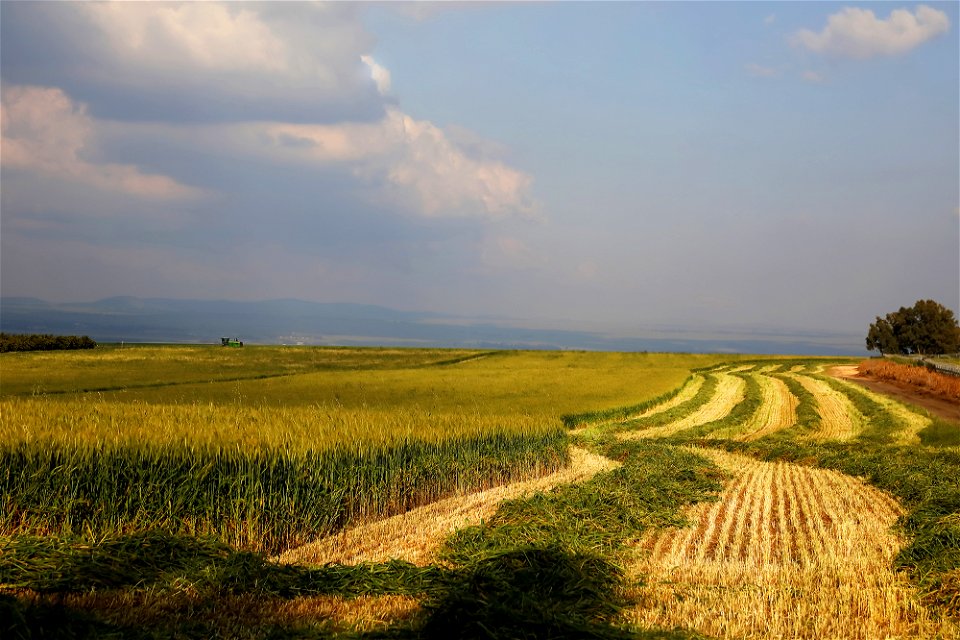 Galilei Fields 2