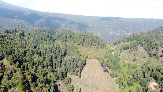 SEIARN_SEIF_DSIA_FERNANDO_VALDEZ_CALDERÓN_DJI_0468