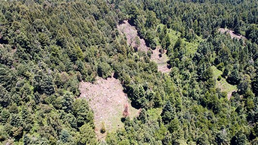 SEIARN_SEIF_DSIA_FERNANDO_VALDEZ_CALDERÓN_DJI_0056